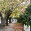 Hotel a Hahndorf