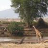 Bed and breakfasts a Meru