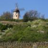 Hôtels à Santenay