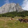 Hotéis em San Vito di Cadore