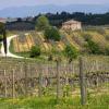 SPA viešbučiai mieste San Quirico dʼOrcia