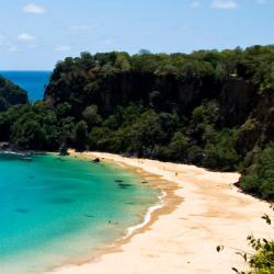 Fernando de Noronha 5 farfuglaheimili