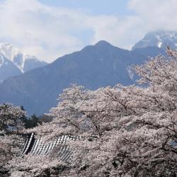 Yamanashi 3 villas