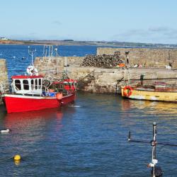 Fethard on Sea 8 lavprishoteller