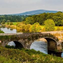 Inistioge 3 hotely povoľujúce pobyt s domácimi zvieratami