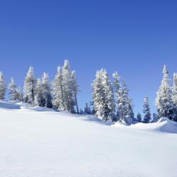 Kartalkaya 4 séjours au ski