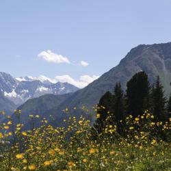 Strass im Zillertal 13 διαμερίσματα