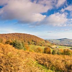 Abergavenny 49 lemmikkiystävällistä hotellia