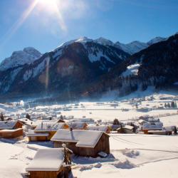 Au im Bregenzerwald 7 hôtels acceptant les animaux domestiques