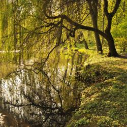 Żyrardów 28 hôtels pas chers