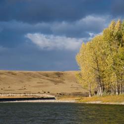 High River Viešbučiai su baseinais (3)