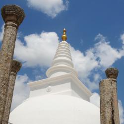 Anuradhapura 5 Lodges