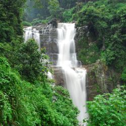 Nuwara Eliya 10 Lodges