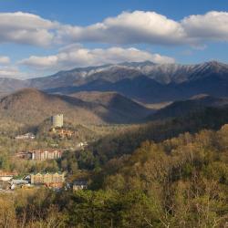 Gatlinburg 594 khách sạn giá rẻ