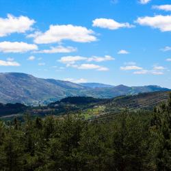 Ribeira de Pena Počitniške nastanitve (6)