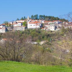 Štanjel 9 hotel mesra haiwan peliharaan