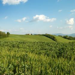 Barberino di Mugello 8 obiektów B&B