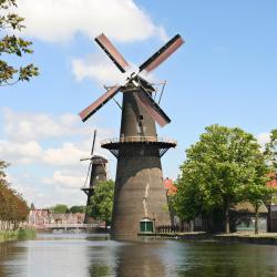 Schiedam 11 bed and breakfasts