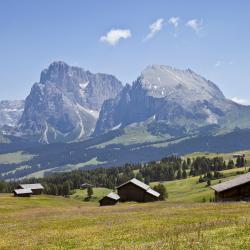 Santa Cristina in Val Gardena 101 apartments