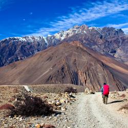 Jomsom 4 सस्ते होटल