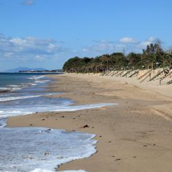 Miami Platja 295 obiektów na wynajem sezonowy