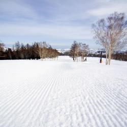 Nozawa Onsen 41 lacných hotelov