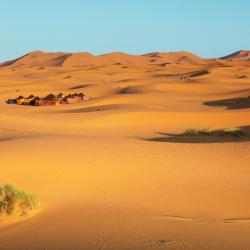 Merzouga 22 riads