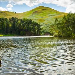 Penicuik 16 hotelů s parkováním