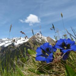 Obergurgl 30 apartmen