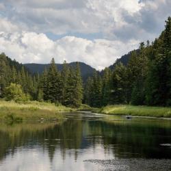 Spearfish Hišnim ljubljenčkom prijazni hoteli (9)