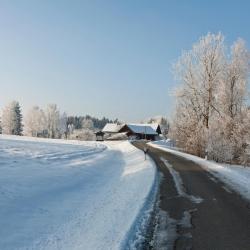 Frauenau 11 hôtels pour les familles