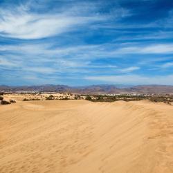 La Playa de Tauro 3軒のアパートメント