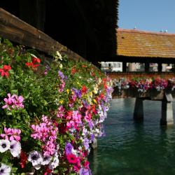 Rothenburg 4 hoteller med parkering