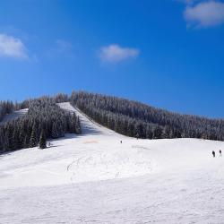 Palyanytsya Viešbučiai su baseinais (9)