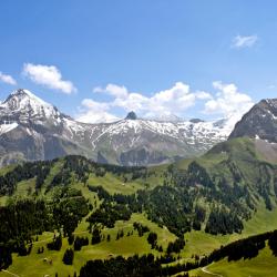 Adelboden 5 rumah percutian