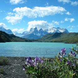 Torres del Paine 5 lodges