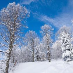 Kartepe 18 séjours au ski