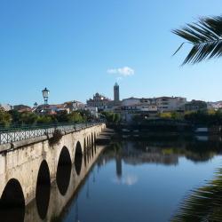 Mirandela Počitniške nastanitve (22)