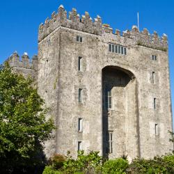 Bunratty 6 smeštaja sa kuhinjom