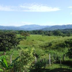 Las Lajas 4 haustierfreundliche Hotels