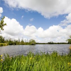 Vinkeveen Poceni hoteli (18)