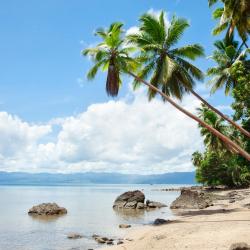 Savusavu 4 dzīvokļi