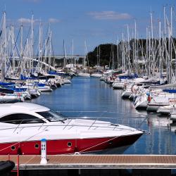 La Trinité-sur-Mer 31 hoteluri care acceptă animale de companie