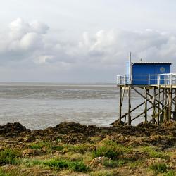 Fouras 22 hôtels acceptant les animaux domestiques