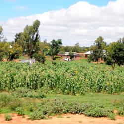 Dodoma 6 lodge