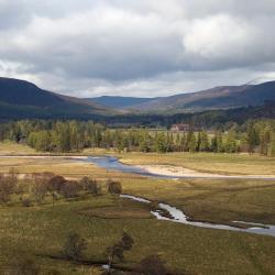 Grantown on Spey 11 bed & breakfast