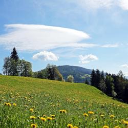 Fladnitz an der Teichalm 5 budget hotel