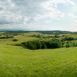 Vadu Izėjus Šeimos būstai (17)