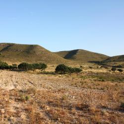 El Pozo de los Frailes Apartmani (15)