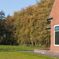 Voorthuizen 3 bed and breakfast